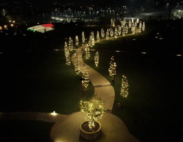 Luci alberi barton park installazione a Perugia, Terni e centro italia