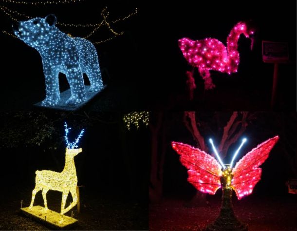 animali di luci installazione a Perugia, Terni e centro italia 